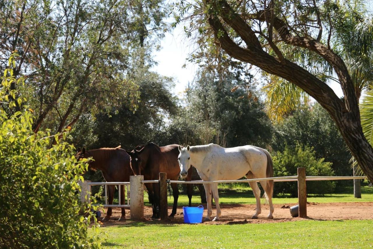 La Vie En Rose - Horses & Dogs House Panzió Aït Hamid Kültér fotó